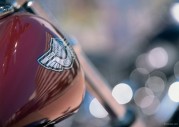 Harley-Davidson FXST Softail Standard